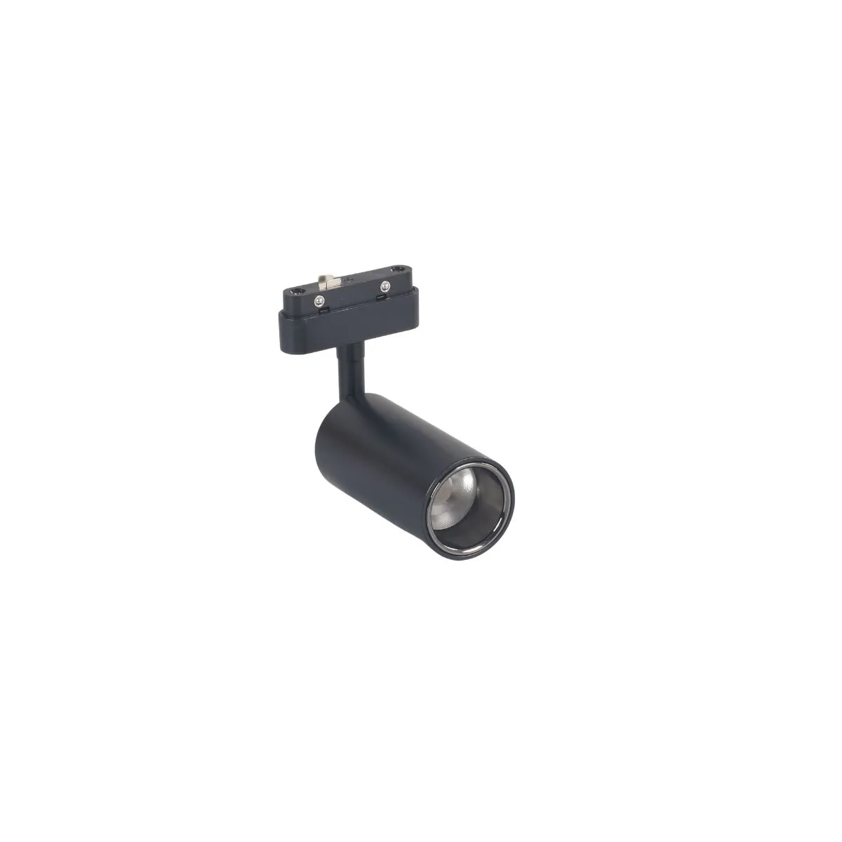 RAS led MINI-BSL 2,5W 4000K SU