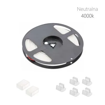 RAS led tr NEON NW 5m GTV