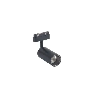 RAS led MINI-BSL 2,5W 4000K SU