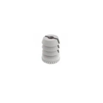 DOWEL plastic Ø8x10 MS