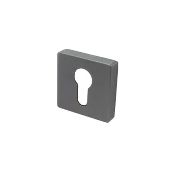 KV cylinder escutcheon TM R011Y BBN